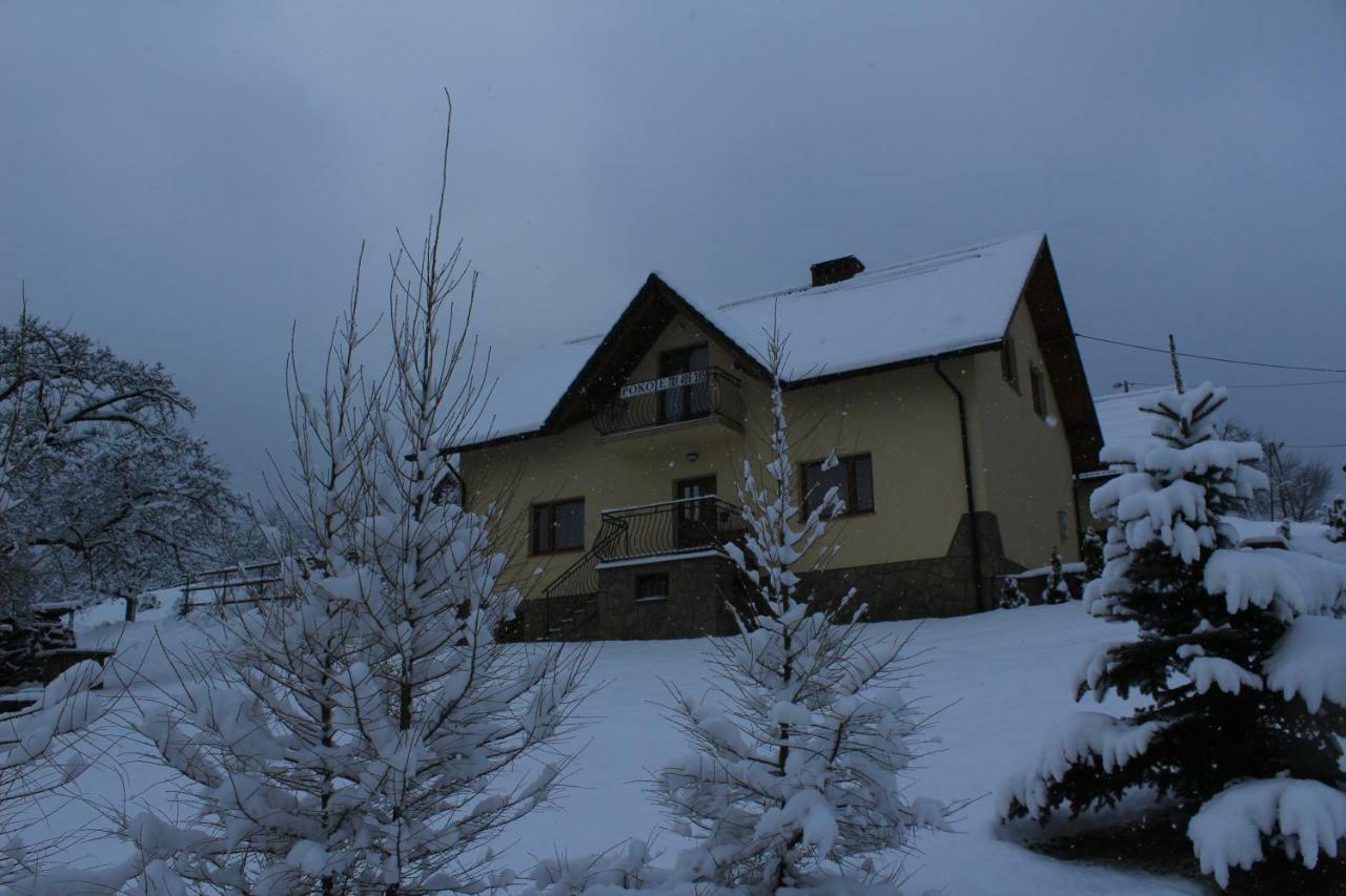 Nad Zalewem Villa Jaszczurowa Exterior photo